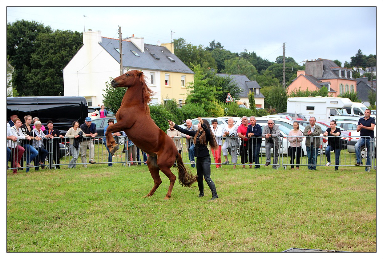 Loprec - La Fte du Village - Spectacle questre