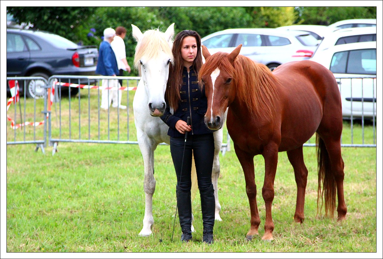 Loprec - La Fte du Village - Spectacle questre