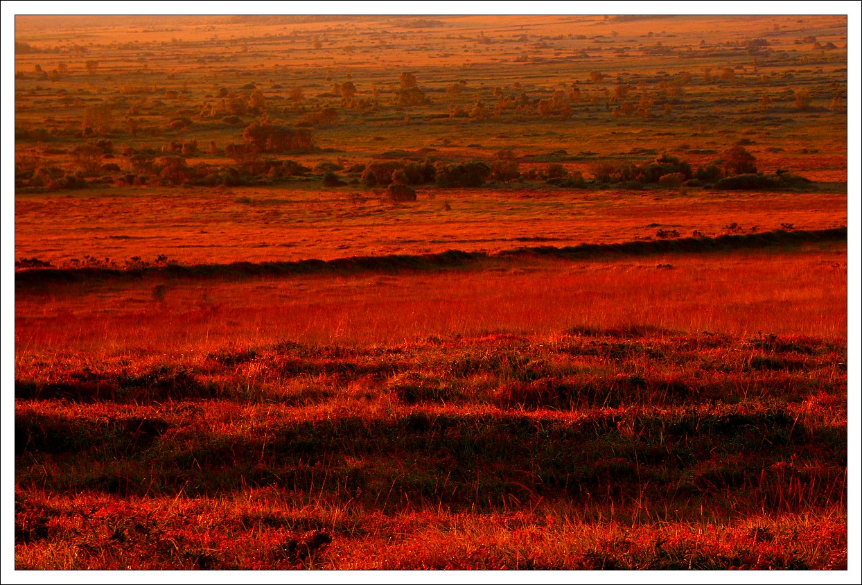 Lever de Soleil sur les Monts d'Arre
