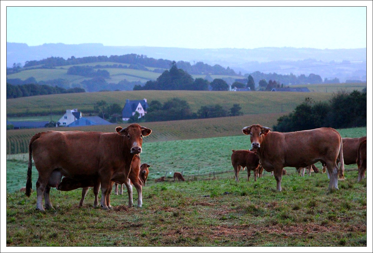 Loprec, au petit matin...