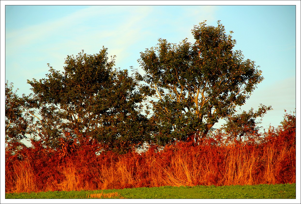 Loprec - Une Longue Journe...
