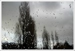 Novembre 2016