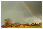 Novembre 2016
