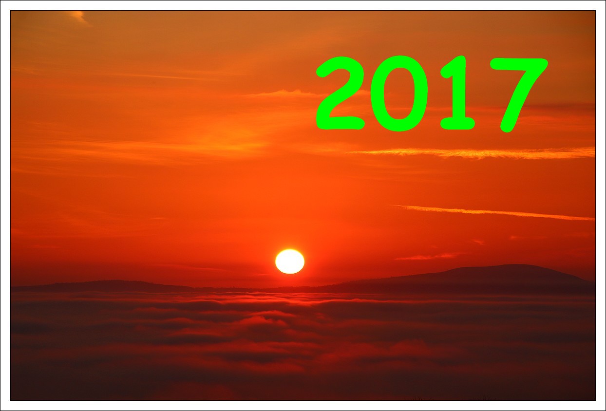 2017