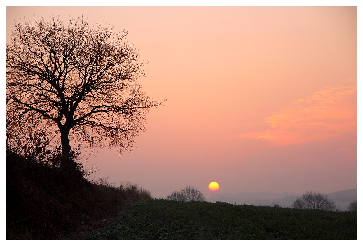 Loprec,