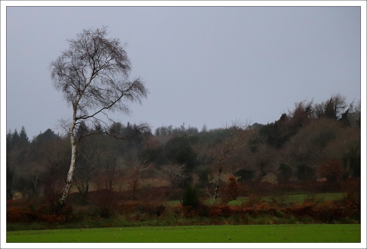 Loprec, les jours gris...