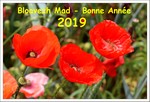 Dcembre 2018