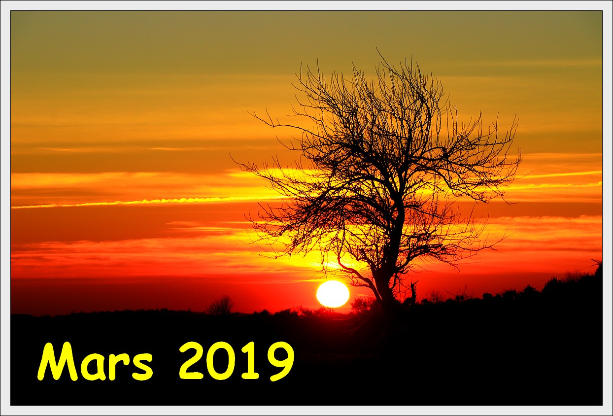Mars 2019