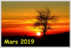 Mars 2019