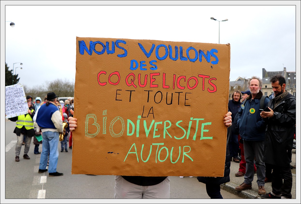 Quimper, la Marche pour le Climat