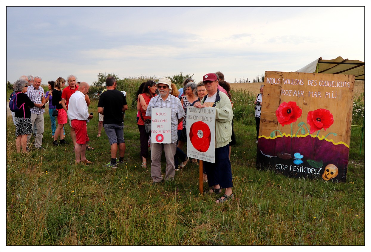 Plounour-Menez, Roc'h Trdudon " Nous voulons des Coquelicots"