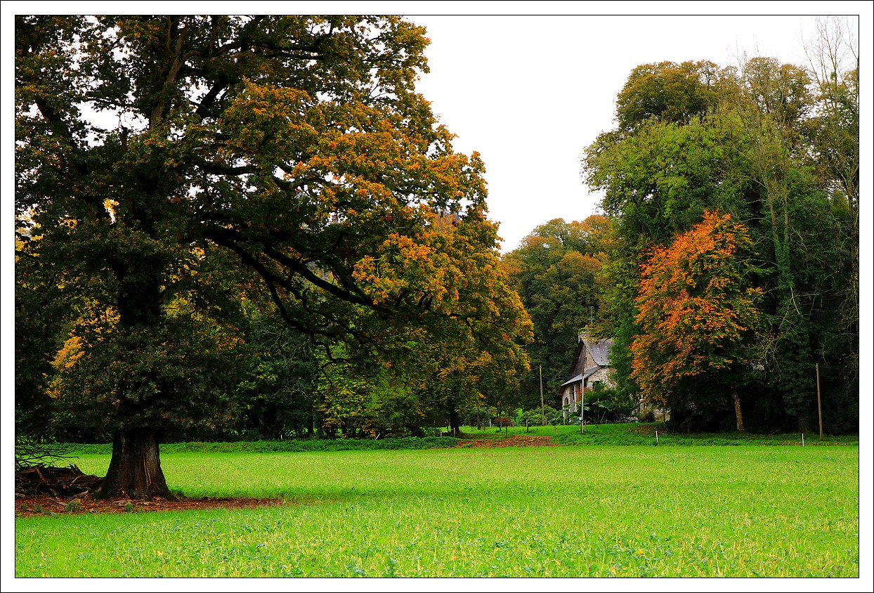 Automne