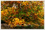 Octobre 2019
